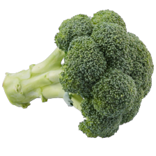 Broccoli